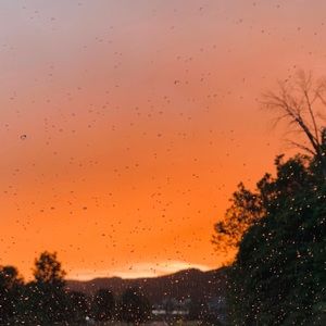 Meet your Posher, Carson